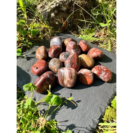 Bois fossile - Pierre naturelle de lithothérapie