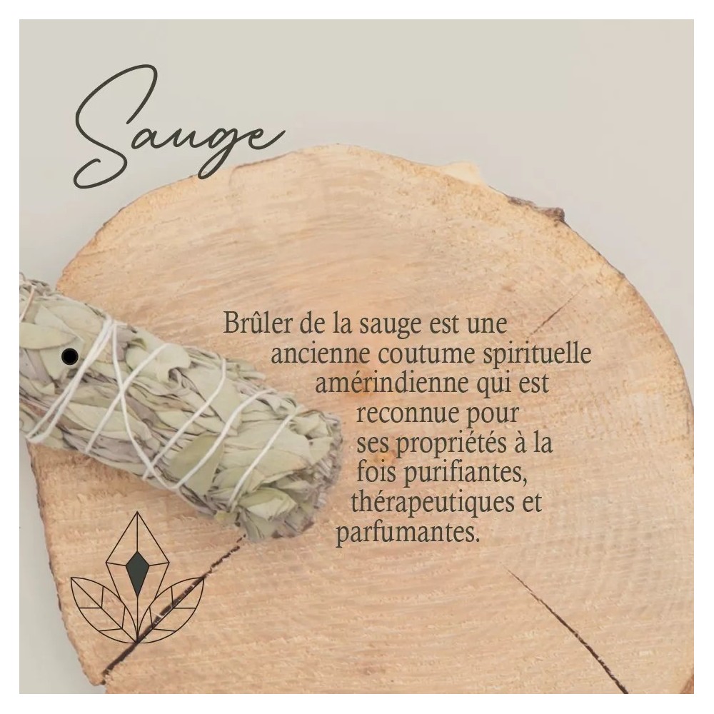 Sauge blanche et Eucalyptus