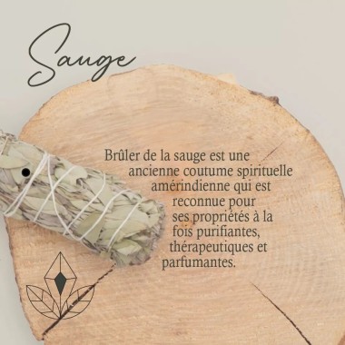 Sauge blanche et Menthe
