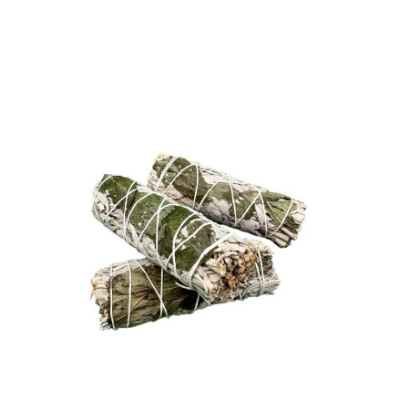 Sauge blanche et Menthe