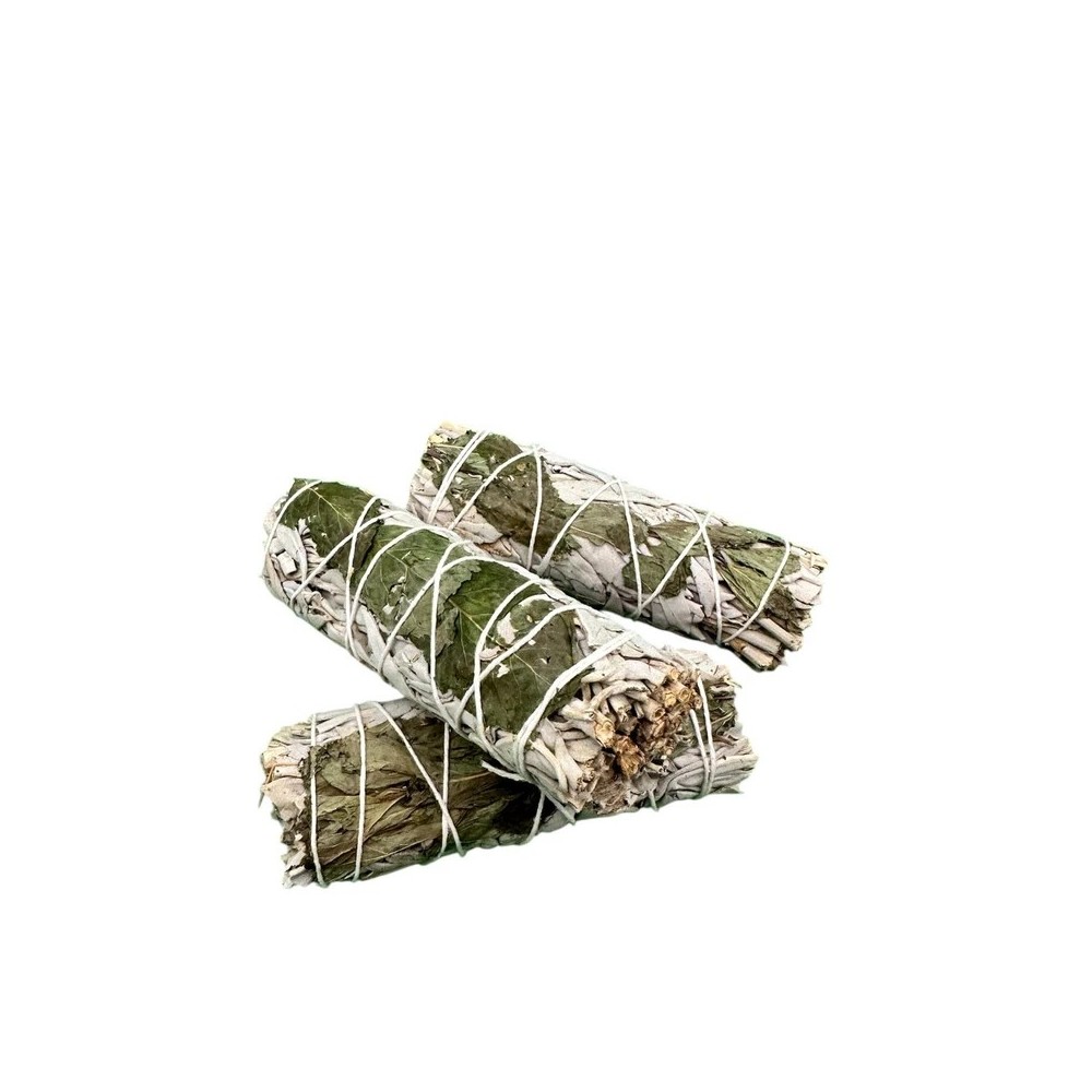 Sauge blanche et Menthe Sauge blanche et Menthe