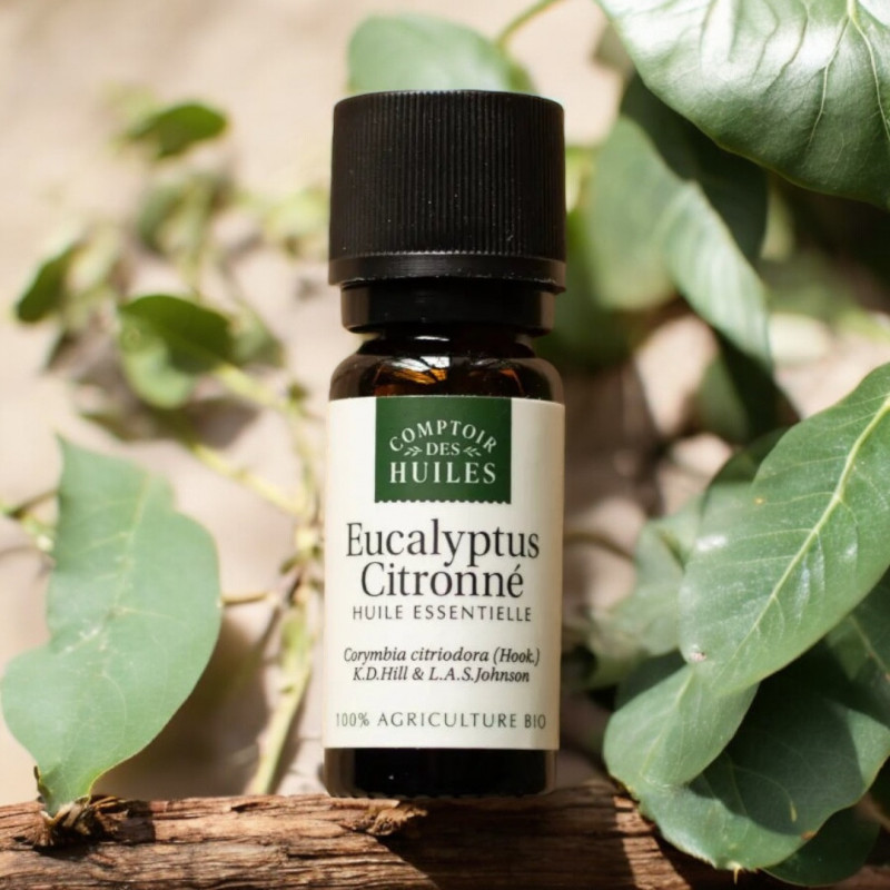 Huile Essentielle d'Eucalyptus Citronné BIO - 10ml