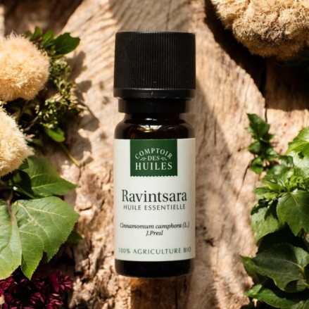 Huile Essentielle de Ravintsara Bio