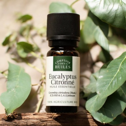 Huile Essentielle d'Eucalyptus Citronné BIO