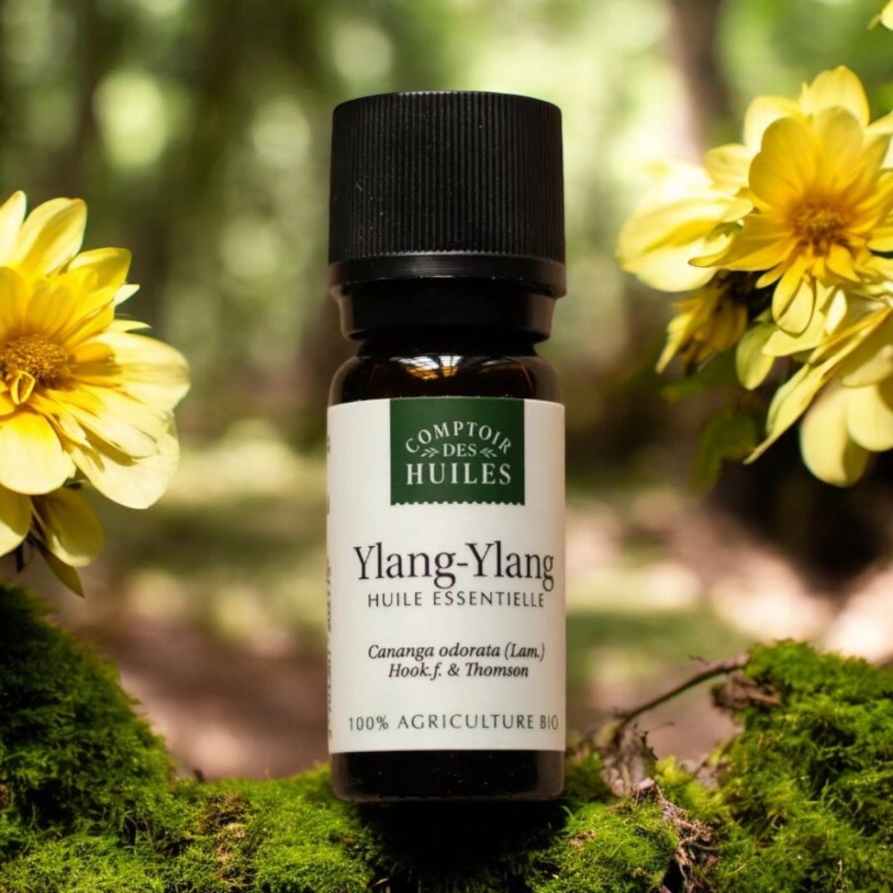 Huile Essentielle d'Ylang Ylang BIO Huile Essentielle d'Ylang Ylang BIO